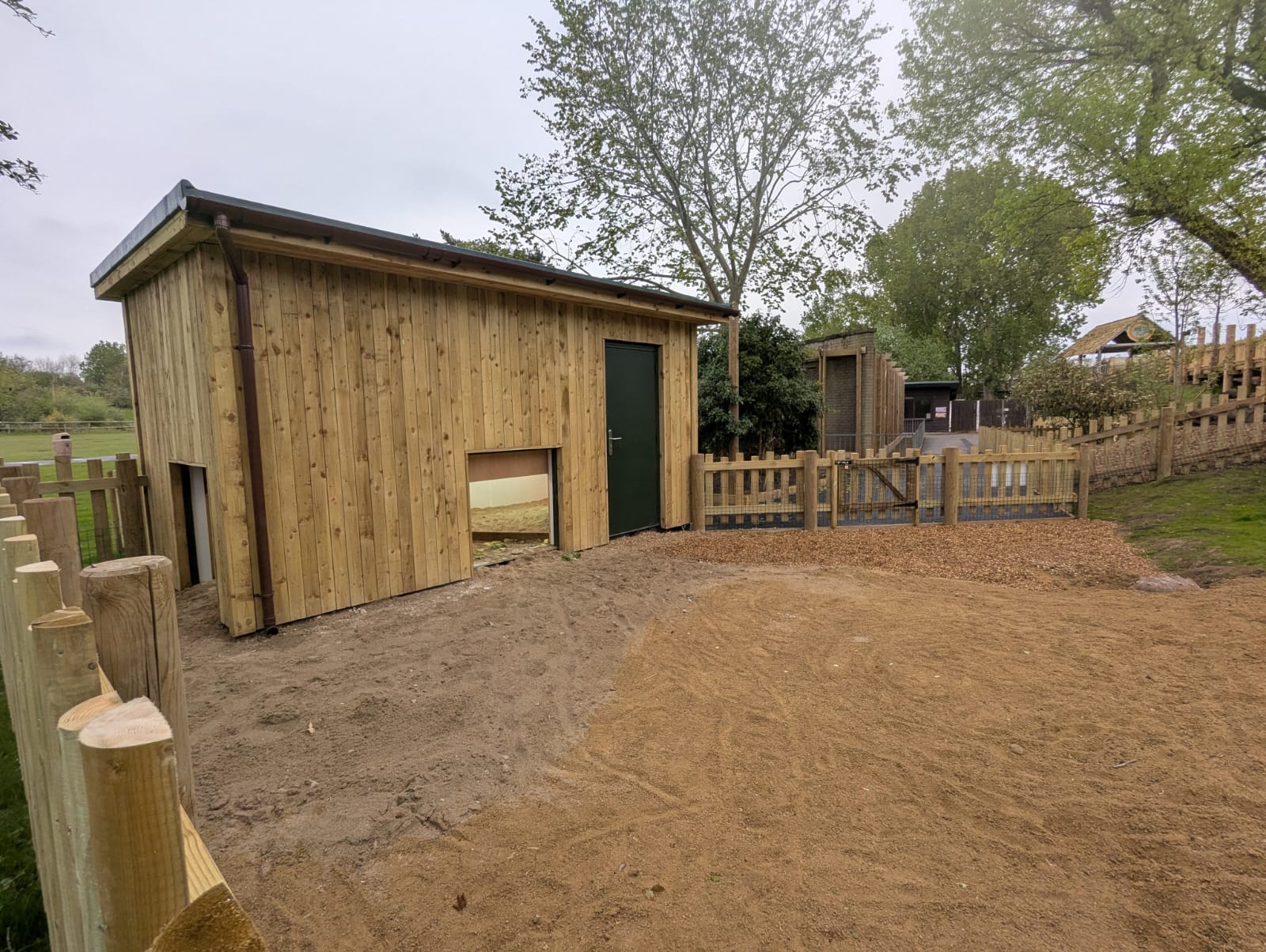 From Contraband to a Forever Home: Blackpool Zoo’s Shipping Container Tortoise Habitat